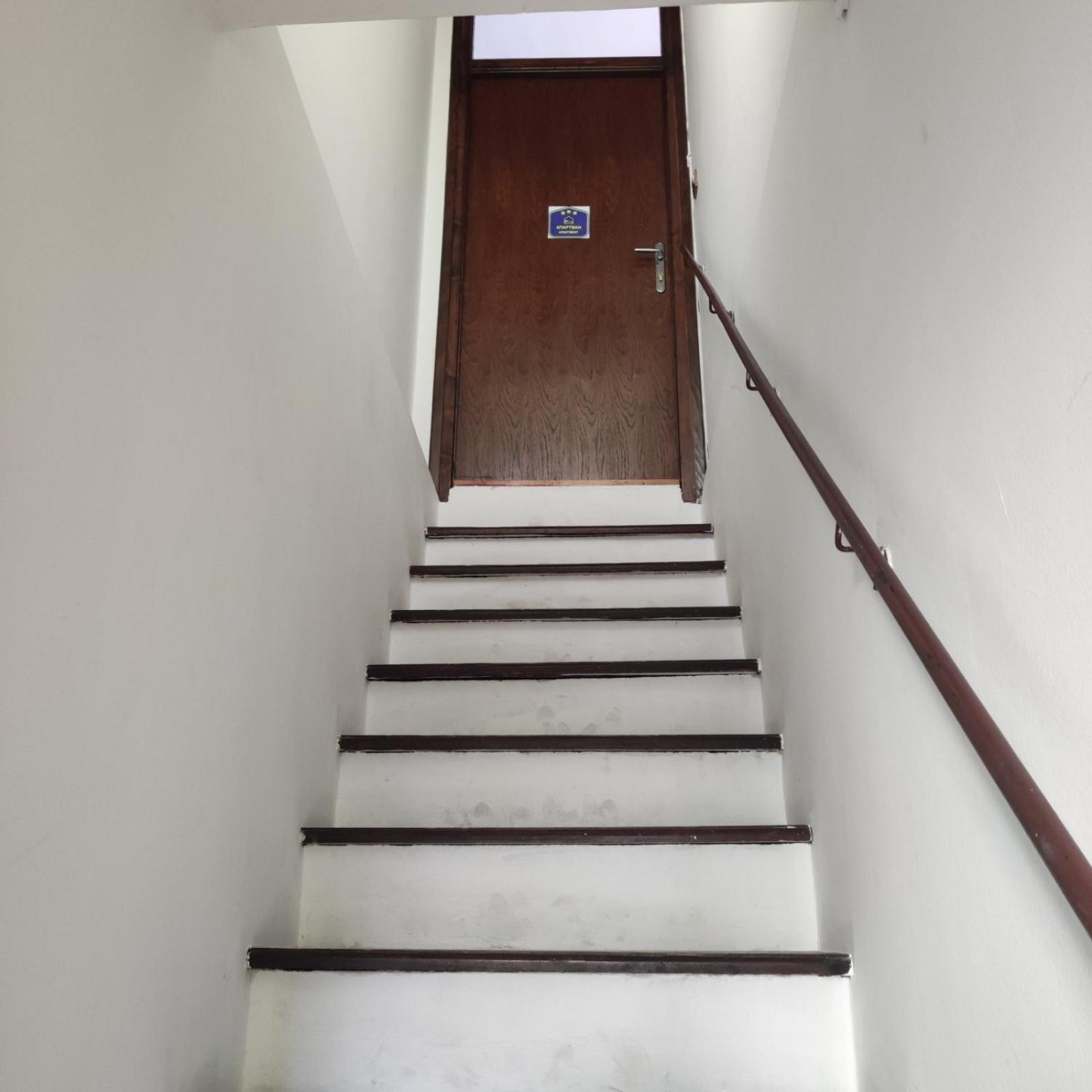 Red Tree Apartment Belgrad Exterior foto